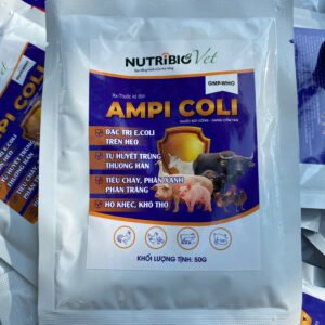 Ampi Coli