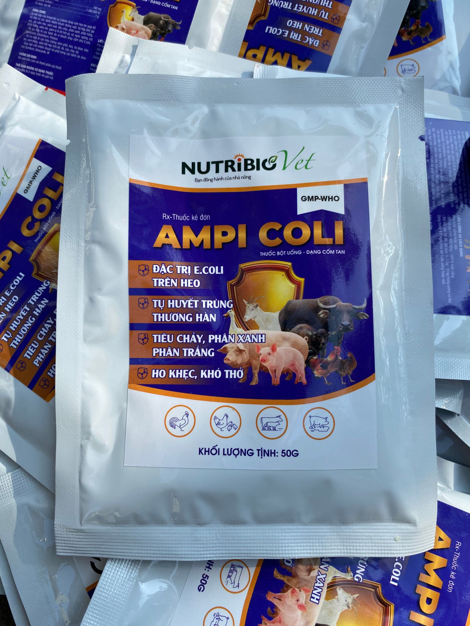 Ampi Coli